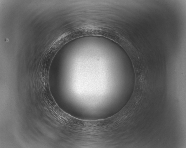 X0000086110870200703231458