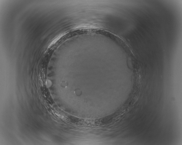 X0000086110871200703231458