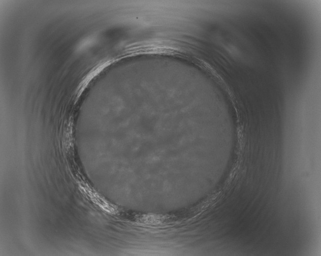 X0000086110875200703231458
