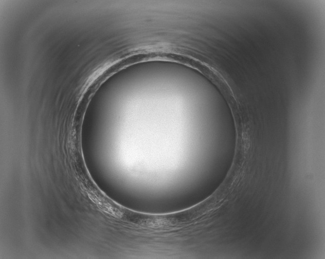 X0000086110879200703231458