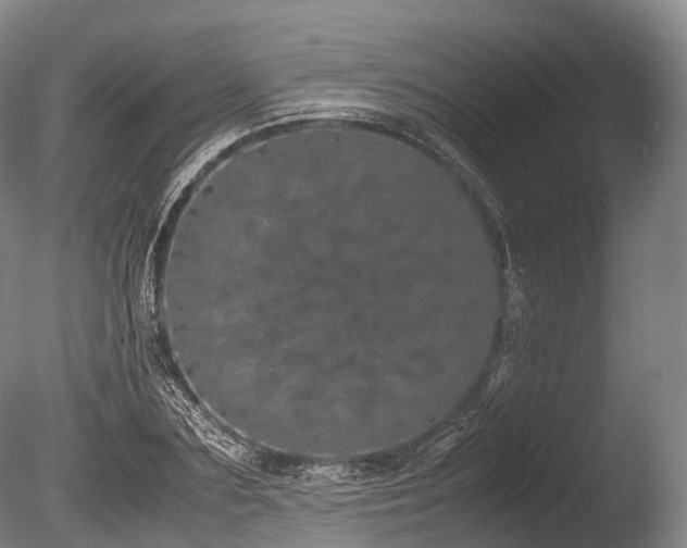 X0000086110883200703231458