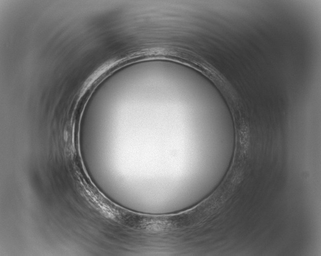 X0000086110886200703231458