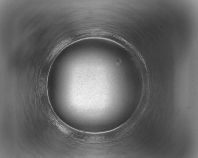 X0000086110889200703231458
