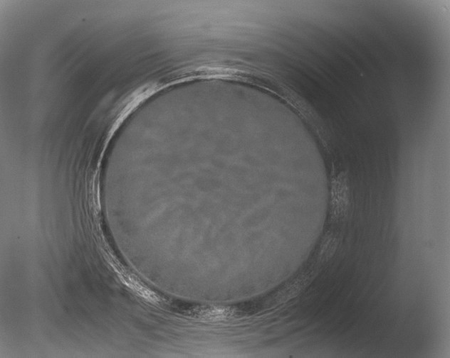 X0000086110891200703231458