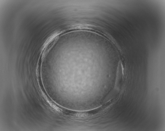 X0000086110893200703231458