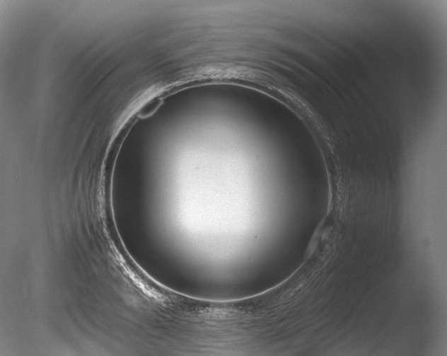 X0000086110894200703231458