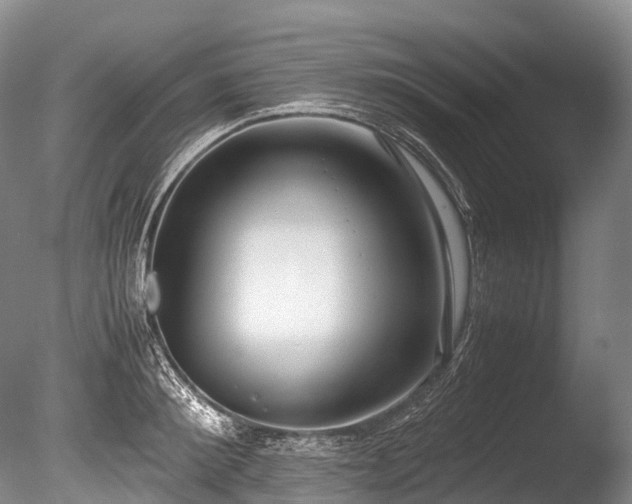 X0000086110900200703231458