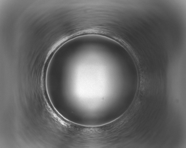 X0000086110902200703231458