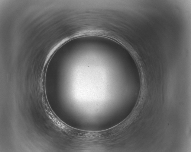 X0000086110912200703231458