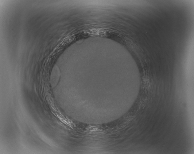 X0000086110913200703231457