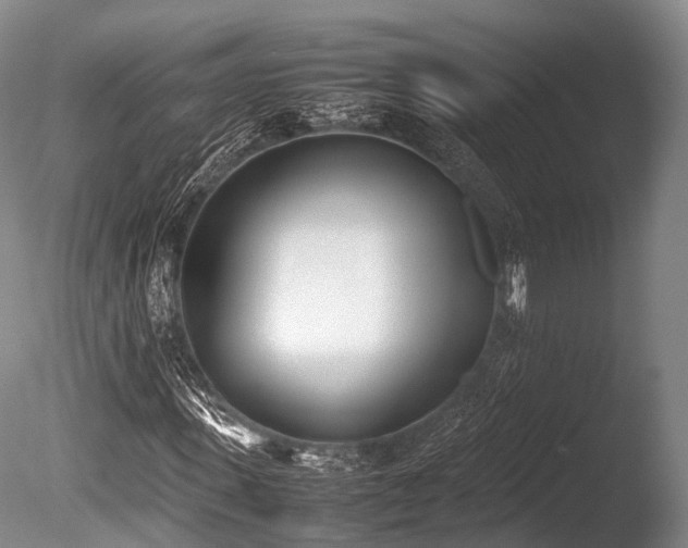 X0000086110915200703231457