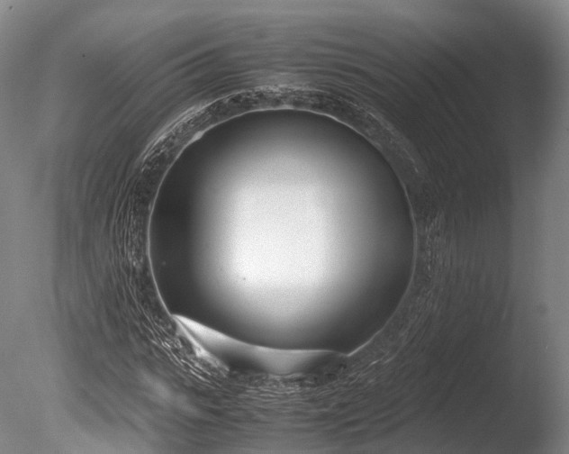 X0000086110919200703231457