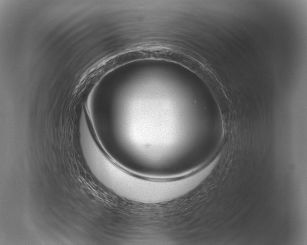X0000086110920200703231457