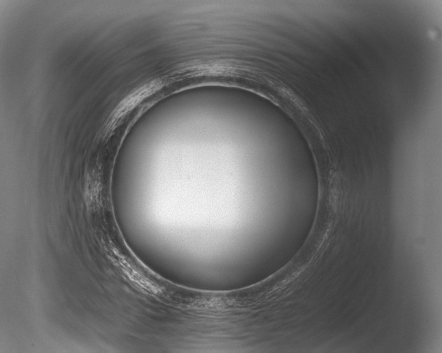 X0000086110922200703231457