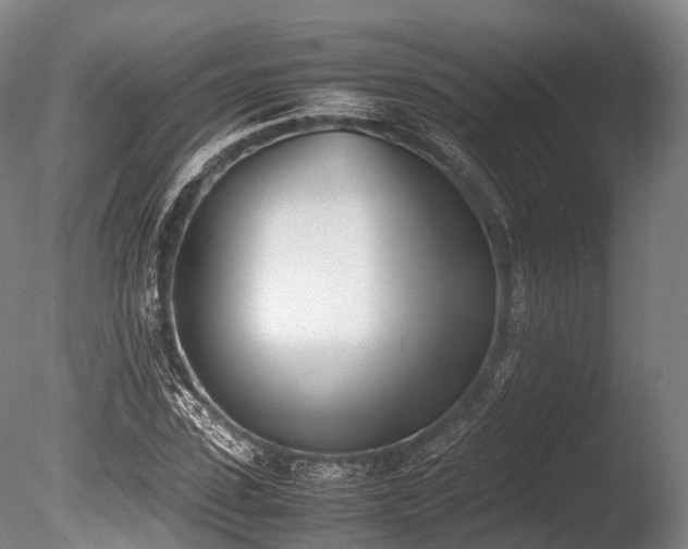 X0000086110923200703231457