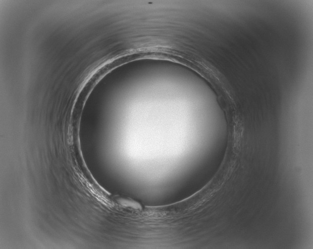X0000086110924200703231457