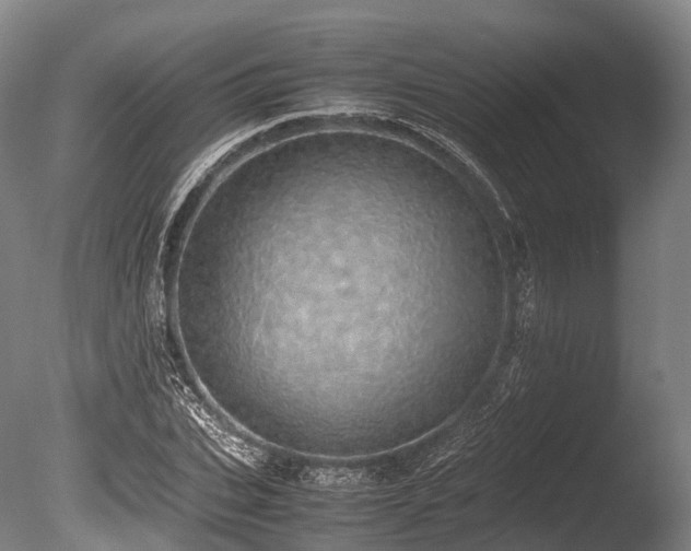X0000086110927200703231457