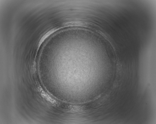 X0000086110928200703231457