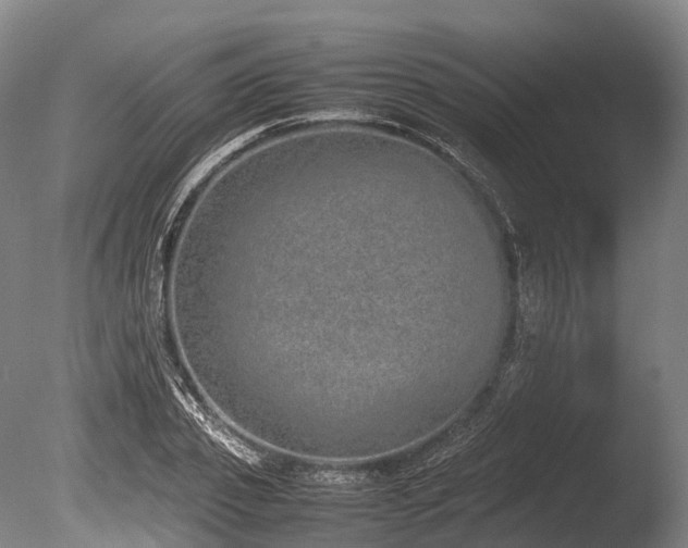 X0000086110933200703231457