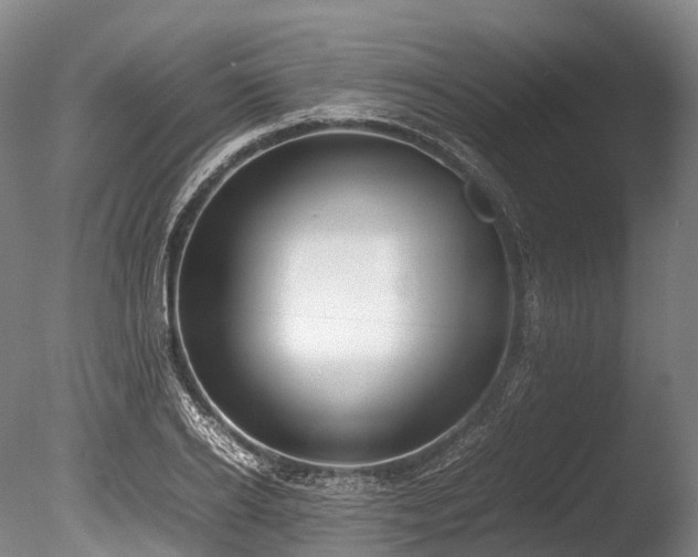 X0000086110934200703231457