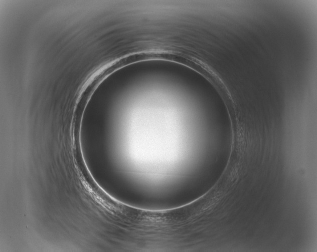 X0000086110935200703231457