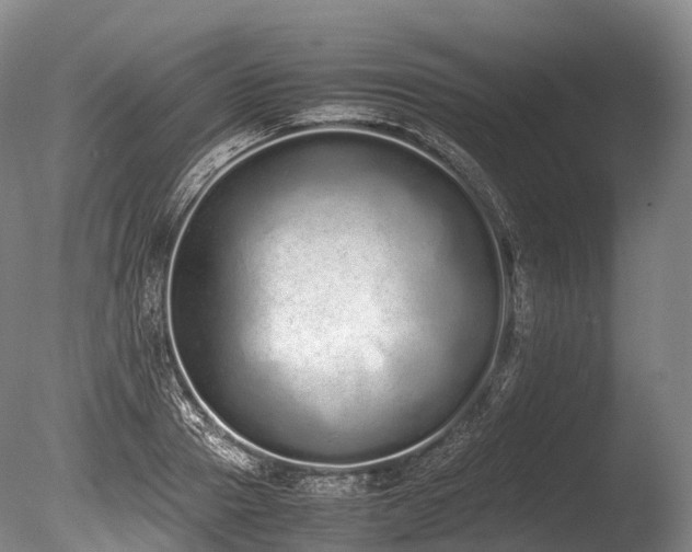 X0000086110937200703231457