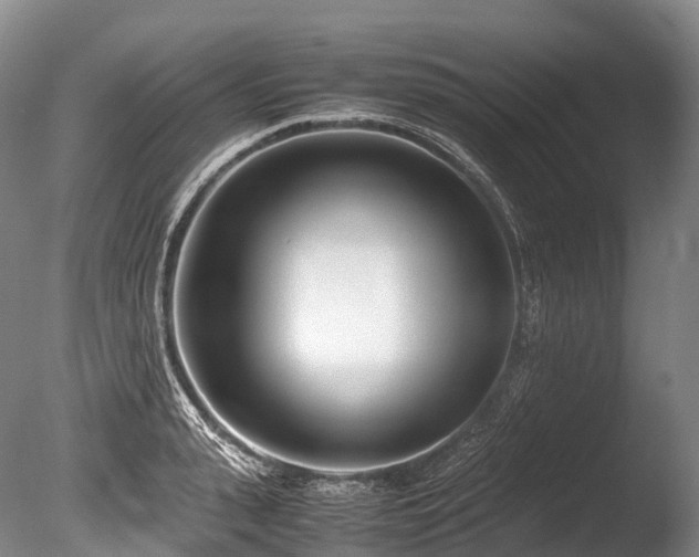 X0000086110943200703231457