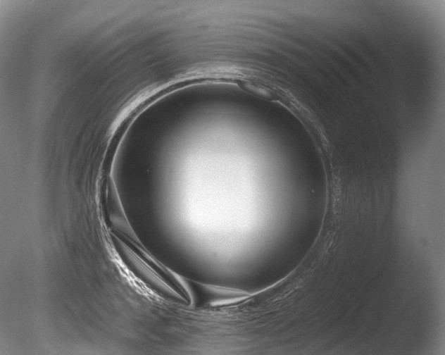 X0000086110944200703231457