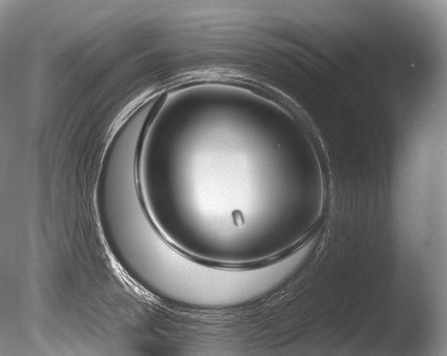 X0000086110946200703231457