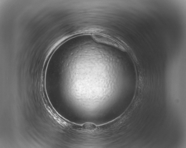 X0000086110948200703231458