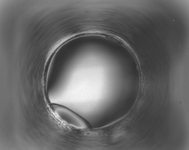 X0000086110951200703231458