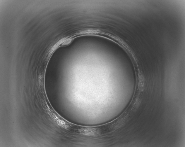 X0000086110953200703231458