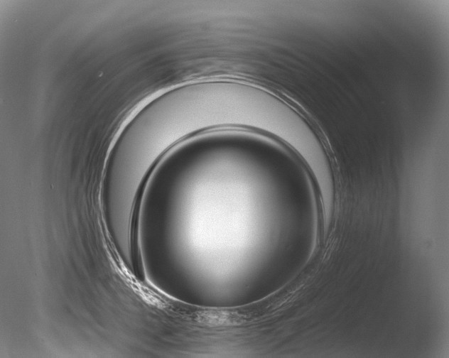 X0000086110956200703231458