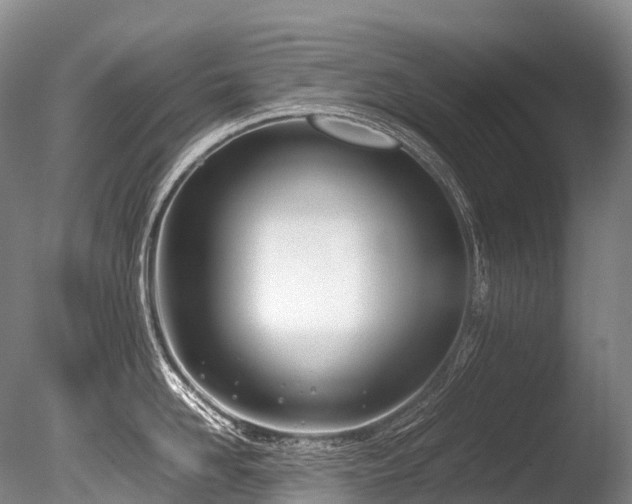 X0000086110958200703231458