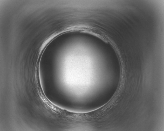 X0000086110960200703231458