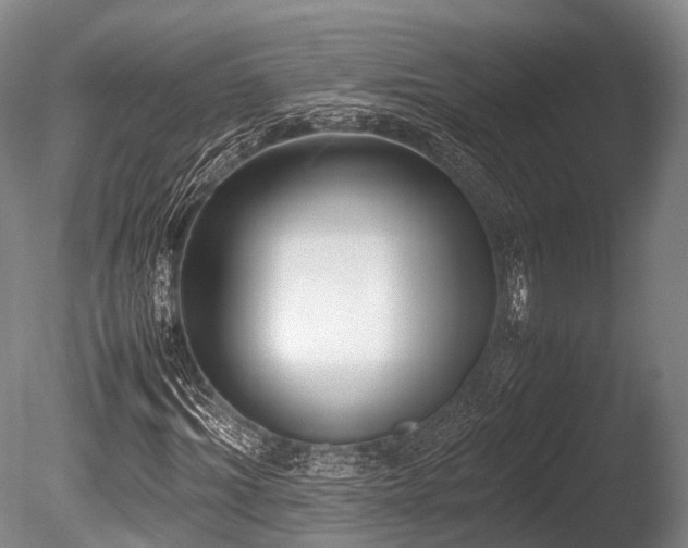 X0000086110964200703231457