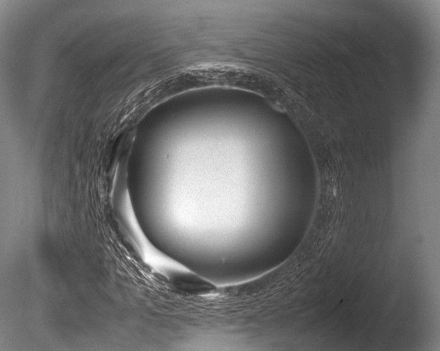 X0000086110965200703231457