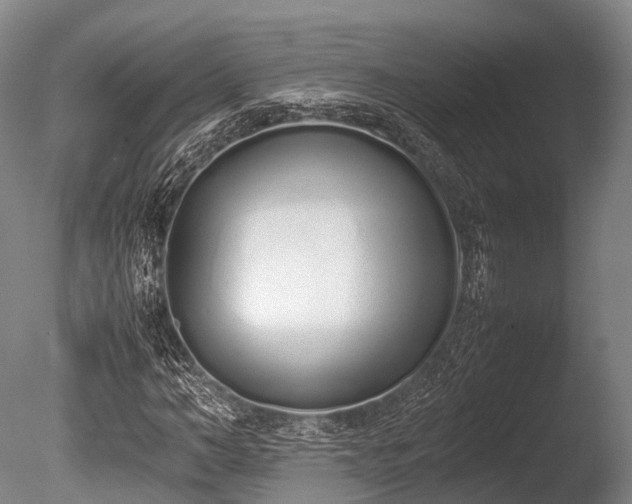 X0000086110966200703231457