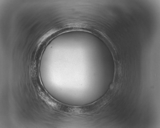 X0000086110971200703231457
