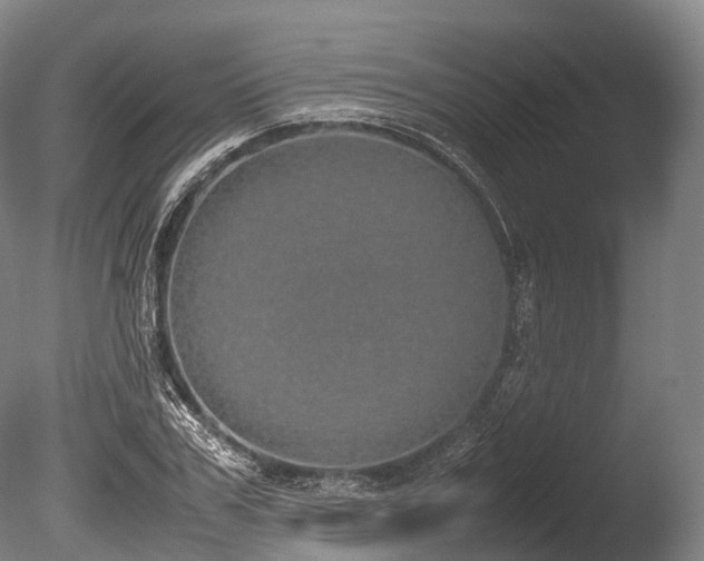 X0000086110979200703231457