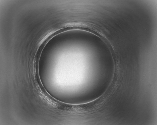 X0000086110983200703231457