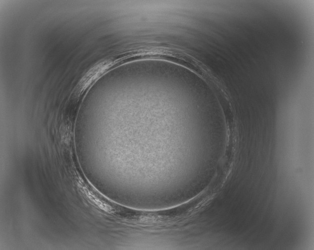 X0000086110985200703231456