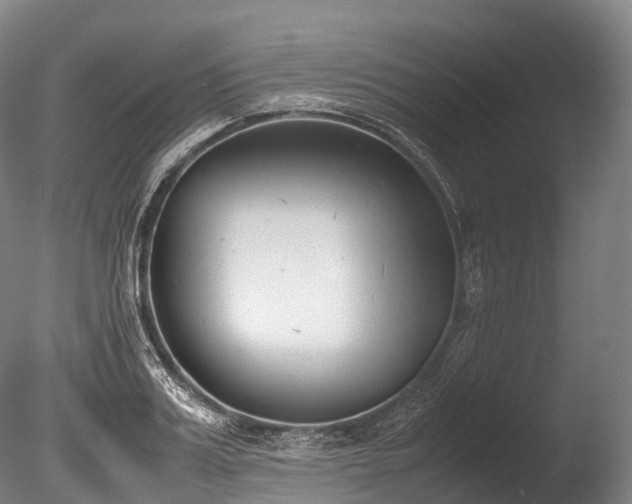 X0000086110987200703231456