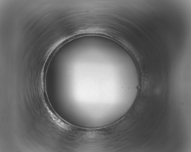 X0000086110988200703231456