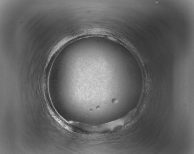 X0000086110989200703231456