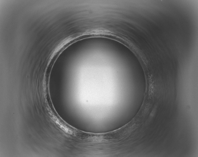 X0000086110990200703231456