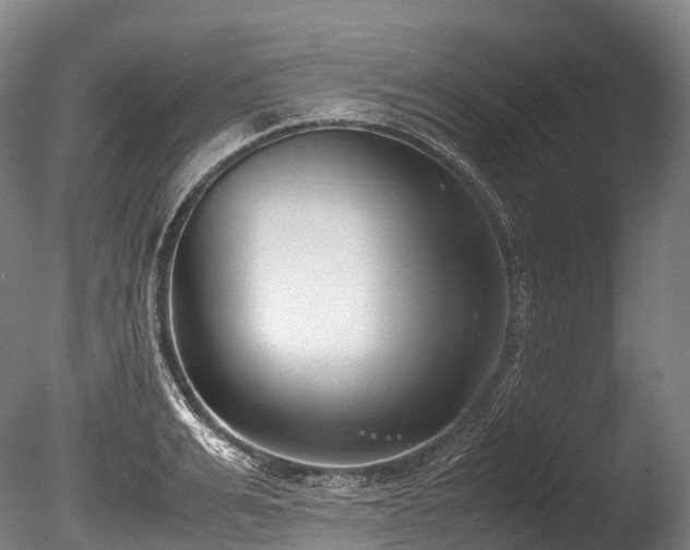 X0000086110991200703231456