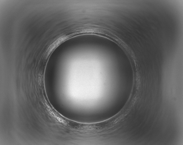 X0000086110993200703231456