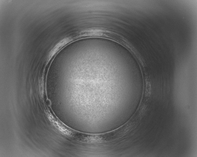 X0000086110994200703231456