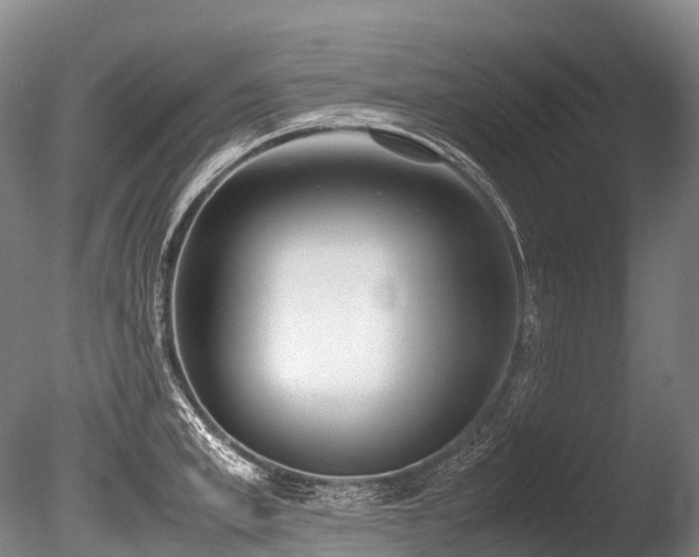 X0000086110997200703231456